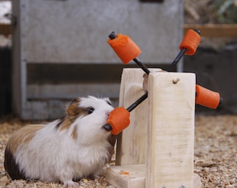 Guinea Pig-Rabbit-Hamster Feeding Toy