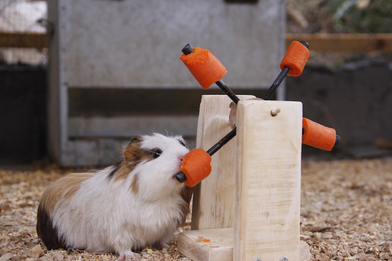 Guinea Pig-Rabbit-Hamster Feeding Toy image 1