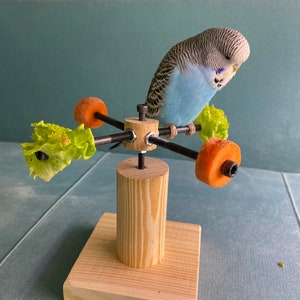 Rotating bird play stand, Toy for parakeets, budgies, parrots, lovebirds, cockatiels, Playstand, Perch for birds image 9