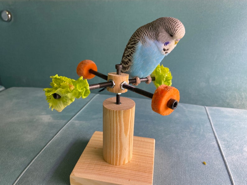 Rotating bird play stand, Toy for parakeets, budgies, parrots, lovebirds, cockatiels, Playstand, Perch for birds image 9