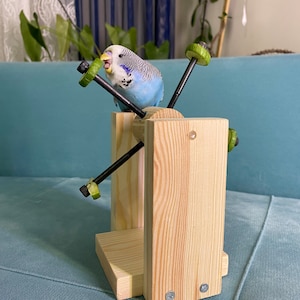 Eat and Play Toy for Budgies, Budgerigars, cockatiel, parakeet, parrot, canary, lovebird and small-medium birds