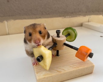 Customized hamster feeder wheel toy, hamster wood, hamster chew, rat toys,rodent toys