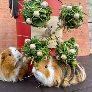 Rotating hay balls for guinea pig and chinchillas, hay feeder stand, grass ball toy, food holder, wooden enrichment, cage accessories