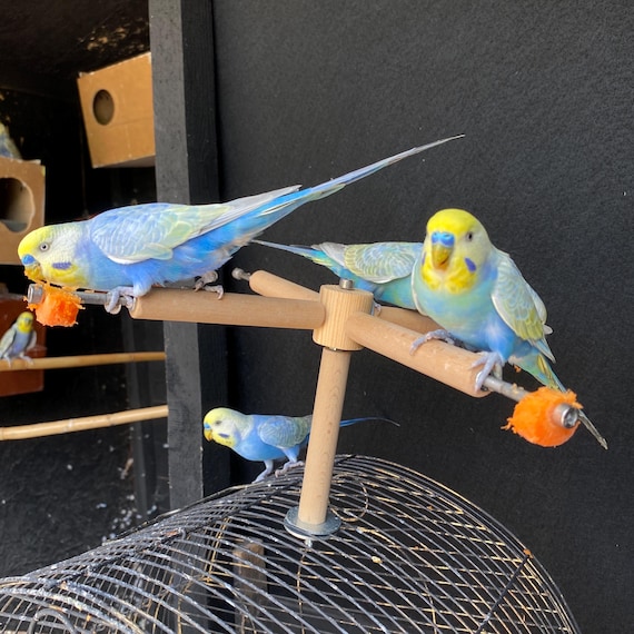 パーソナライズされた回転式鳥の止まり木：餌入れ付きケージトップ