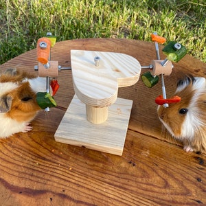 May include: Two guinea pigs eating from a wooden heart-shaped toy with rotating arms. The toy has cucumber and carrot slices attached to the arms.