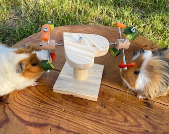 Rotating Heart with Food Holders for Guinea Pigs, Feeder Toy for Cavies, Rabbits, Chinchillas, Mices, Squirrels, Rats and Rodents