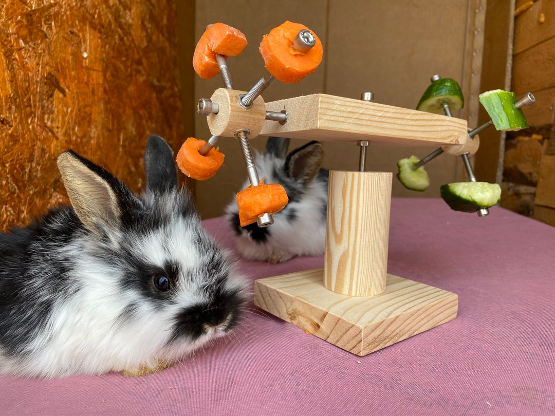 Bliksem impliciet vitamine Konijnen feeder stand konijn speelgoed konijn wiel kauwen - Etsy Nederland