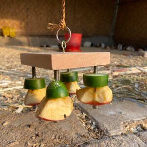May include: A wooden toy with four screws holding apple and cucumber slices. The toy is hanging from a rope and is designed for small animals to play with.
