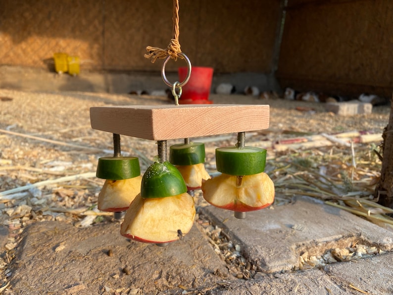 May include: A wooden toy with four screws holding apple and cucumber slices. The toy is hanging from a rope and is designed for small animals to play with.