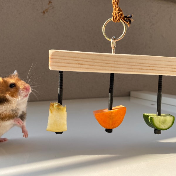 Hamster Food Hanging Toy, porta alimentos, juguete de alimentación