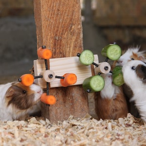 Two Wheel Wooden Feeder for Guinea Pigs, Rabbits, Hamsters, Chinchillas, Small Animals, Vegetables Food Holder, Rotating Feeding Toy