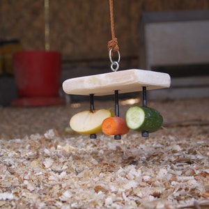 Rectangular Food Holder Toy for Guinea Pig, Rabbit, Hamster, Chinchilla image 9