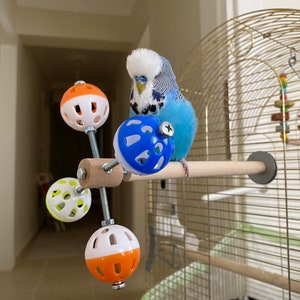 Perch Toy with Rotating Balls for Budgies, Budgerigars, Parakeets, Parrots, Cockatiels, Parrotlets, Lovebirds, Ringnecks, Conures and birds. image 7