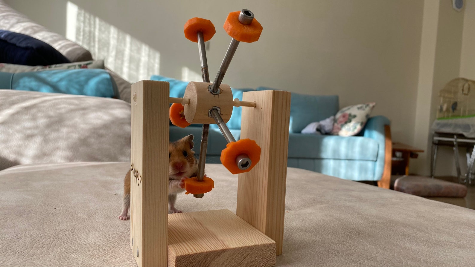 Hamster Feeder Wheel, Rotating Toy, Hamster Food Stand, Wood Toy, Chew ...
