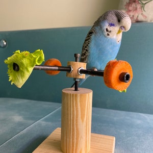 Rotating bird play stand, Toy for parakeets, budgies, parrots, lovebirds, cockatiels, Playstand, Perch for birds image 1