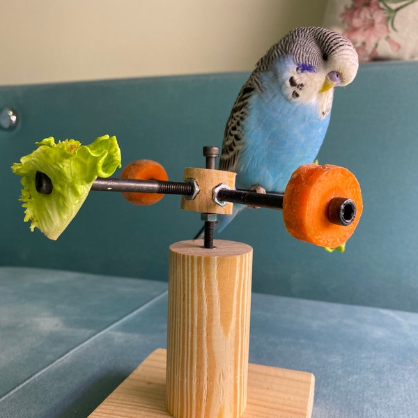 Stand rotatif de jeu d’oiseau, jouet pour perruches, budgies, perroquets, tourtereaux, cockatiels, Playstand, Perche pour des oiseaux