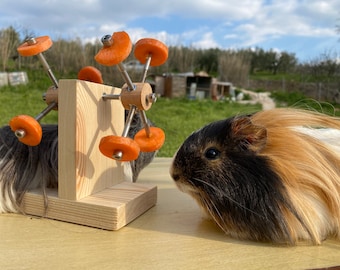 Treat feeder for guinea pigs, guinea pig toys, cage accessories, food holder, play stand for cavy