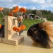see more listings in the GUINEA PIG TOYS section