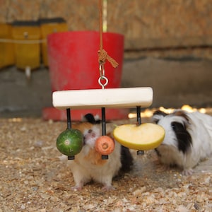 Rabbit Rectangular Food Holder Toy for Guinea Pig Hamster Chinchilla