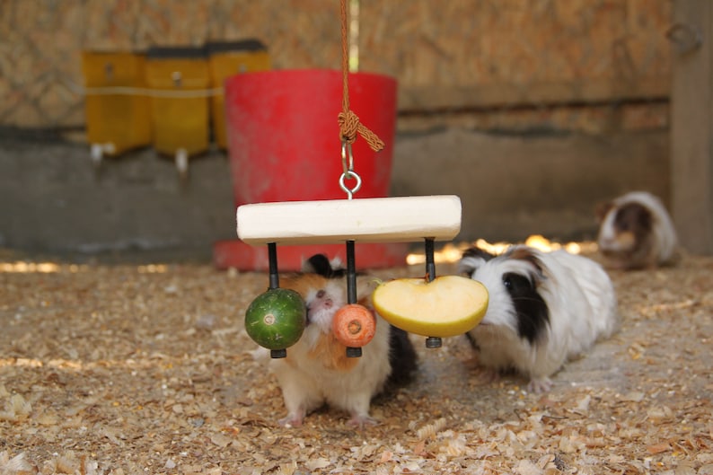 Rabbit Rectangular Food Holder Toy for Guinea Pig Hamster Chinchilla