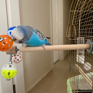 Perch Toy with Rotating Balls for Budgies, Budgerigars, Parakeets, Parrots, Cockatiels, Parrotlets, Lovebirds, Ringnecks, Conures and birds. image 9