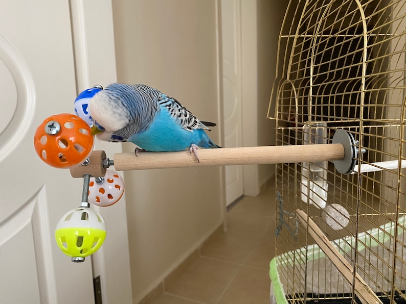 Perch Toy with Rotating Balls for Budgies, Budgerigars, Parakeets, Parrots, Cockatiels, Parrotlets, Lovebirds, Ringnecks, Conures and birds. image 9