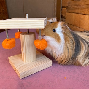 Square Guinea Pig Toy, cavy feeder wheel, food holder, cage accessories, fleece liner