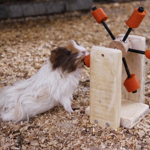 Guinea Pig-Rabbit-Hamster Feeding Toy image 7