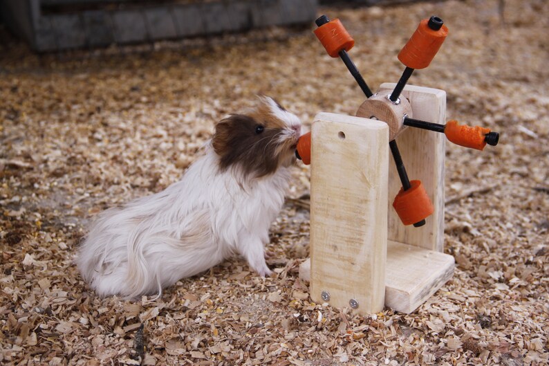 Guinea Pig-Rabbit-Hamster Feeding Toy image 7