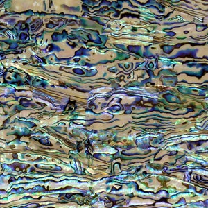 Natural, Light Abalone Shell Veneer 5.5&quot; x 9.5&quot; for Inlay, laser, crafts,  Includes 3M Adhesive Sheet for Application
