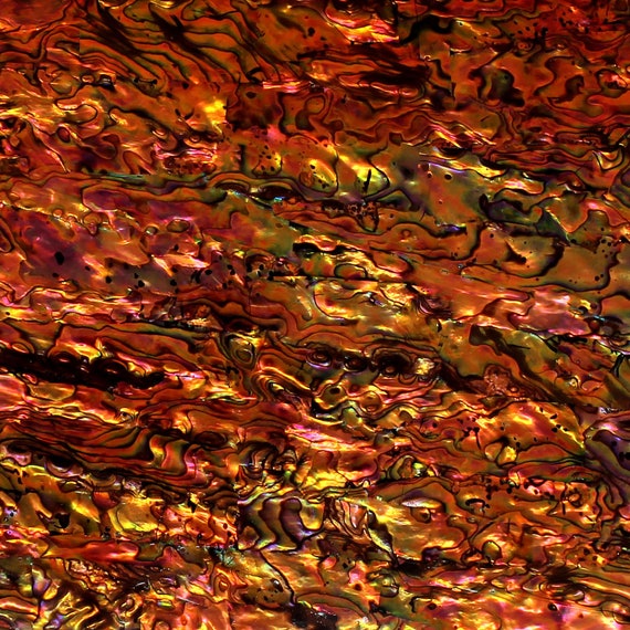 Red Copper Abalone Shell Veneer (5.5" x 9.5") with 3M Adhesive