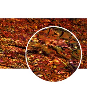 Op de afbeelding: Close-up van een blad van iriserende abalone-schelp met een wervelend patroon van oranje, rode en groene tinten.