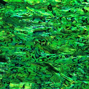May include: A close-up of a vibrant, iridescent green abalone shell surface. The shell's texture is composed of irregular, rectangular pieces, showcasing a natural, organic pattern with dark green and black veining.