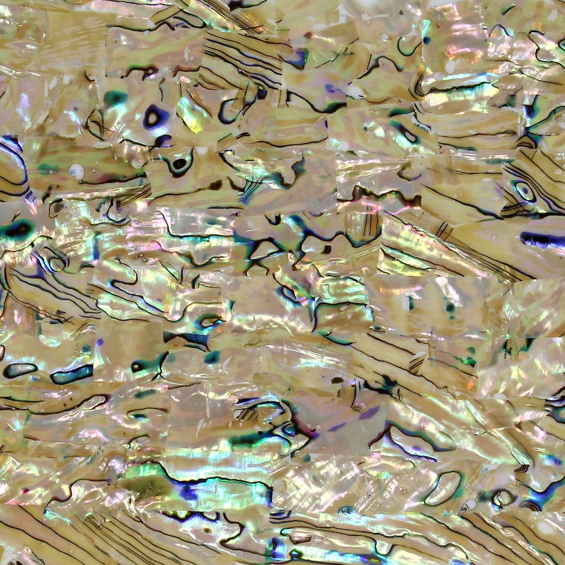 Overlapping Segmented Shell Natural, Extra Light Abalone Shell Veneer 5.5