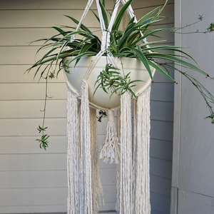 May include: A white macrame plant hanger with long tassels hangs from the ceiling, holding a white ceramic pot with a green spider plant.