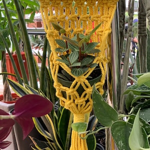 Mini Planter, Mini Wall hanging, Macrame mini planter, Air Plant Planter