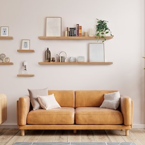 May include: A living room interior with a light brown leather sofa, a wooden coffee table with books, and a set of floating shelves with framed artwork, books, and decorative objects. A potted plant with red and green leaves sits on a wooden stand to the right of the sofa.