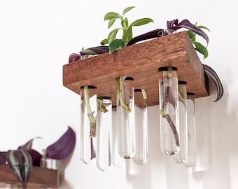 Propagation Station Shelf | Rhombus Mahogany or Oak | Plants Cuttings Station | Glass Test Tube Vases | Boho Floating Shelves