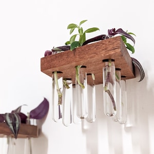 Propagation Station Shelf | Rhombus Mahogany or Oak | Plants Cuttings Station | Glass Test Tube Vases | Boho Floating Shelves