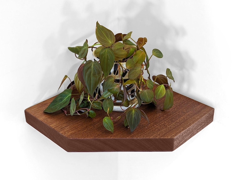 Front view of a mahogany floating shelf for corners with a pothos plant on it.