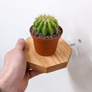 Floating Shelves | Small Octagon Oak | Plants, Keys, Candles, Wall Décor | Boho Minimalist