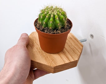 Floating Shelves | Small Octagon Oak | Plants, Keys, Candles, Wall Décor | Boho Minimalist