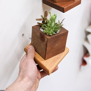 Small Rhombus Display Shelf in Oak | Trinkets, Plants, Keys, Candles, Wall Décor