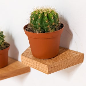 Small Trapezoid Display Shelf in Oak | Trinkets, Plants, Keys, Candles, Wall Décor