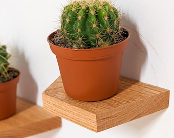 Floating Shelves | Small Trapezoid Oak | Plants, Keys, Candles, Wall Décor | Boho Minimalist