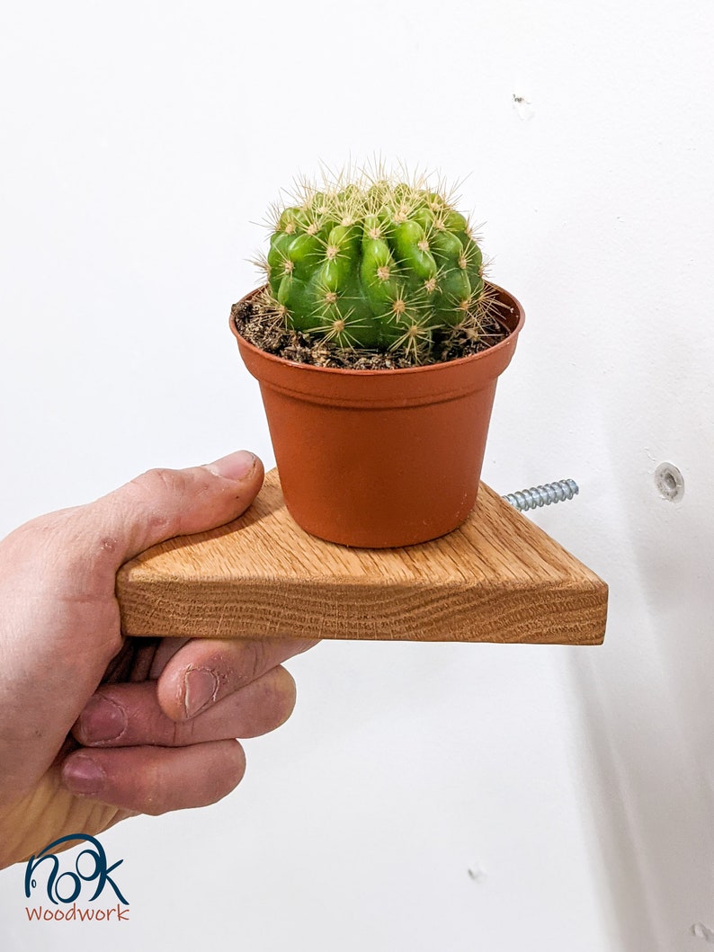 oak triangle shelf