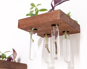 Propagation Station Shelf | Square Mahogany or Oak | Plants Cuttings Station | Glass Test Tube Vases | Boho Floating Shelves