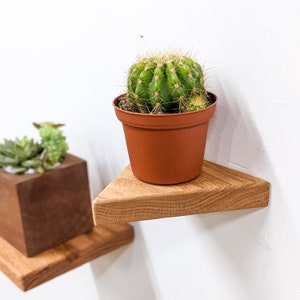 Floating Shelves Small Triangle Oak Plants, Keys, Candles, Wall Décor Boho Minimalist image 1