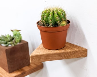 Étagères flottantes | Petit triangle en chêne | plantes, clés, bougies, décoration murale | Boho minimaliste