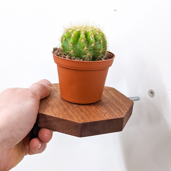 Floating Shelves | Small Octagon Mahogany | Plants, Keys, Candles, Wall Décor | Boho Minimalist